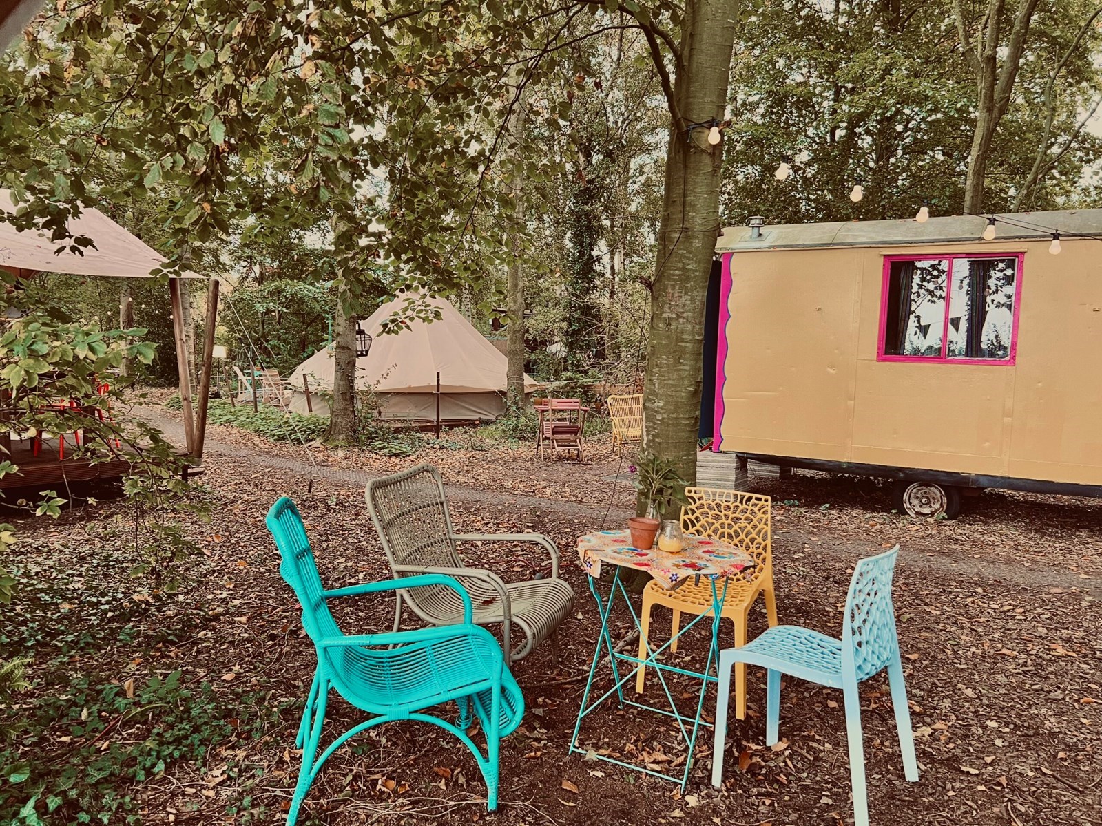 Vrolijke Pipowagen in het bos