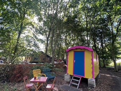 Vrolijke Pipowagen in het bos Vrolijke Pipowagen in het bos