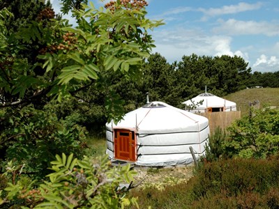 Bijzonder overnachten in een yurt op Texel Bijzonder overnachten in een yurt op Texel