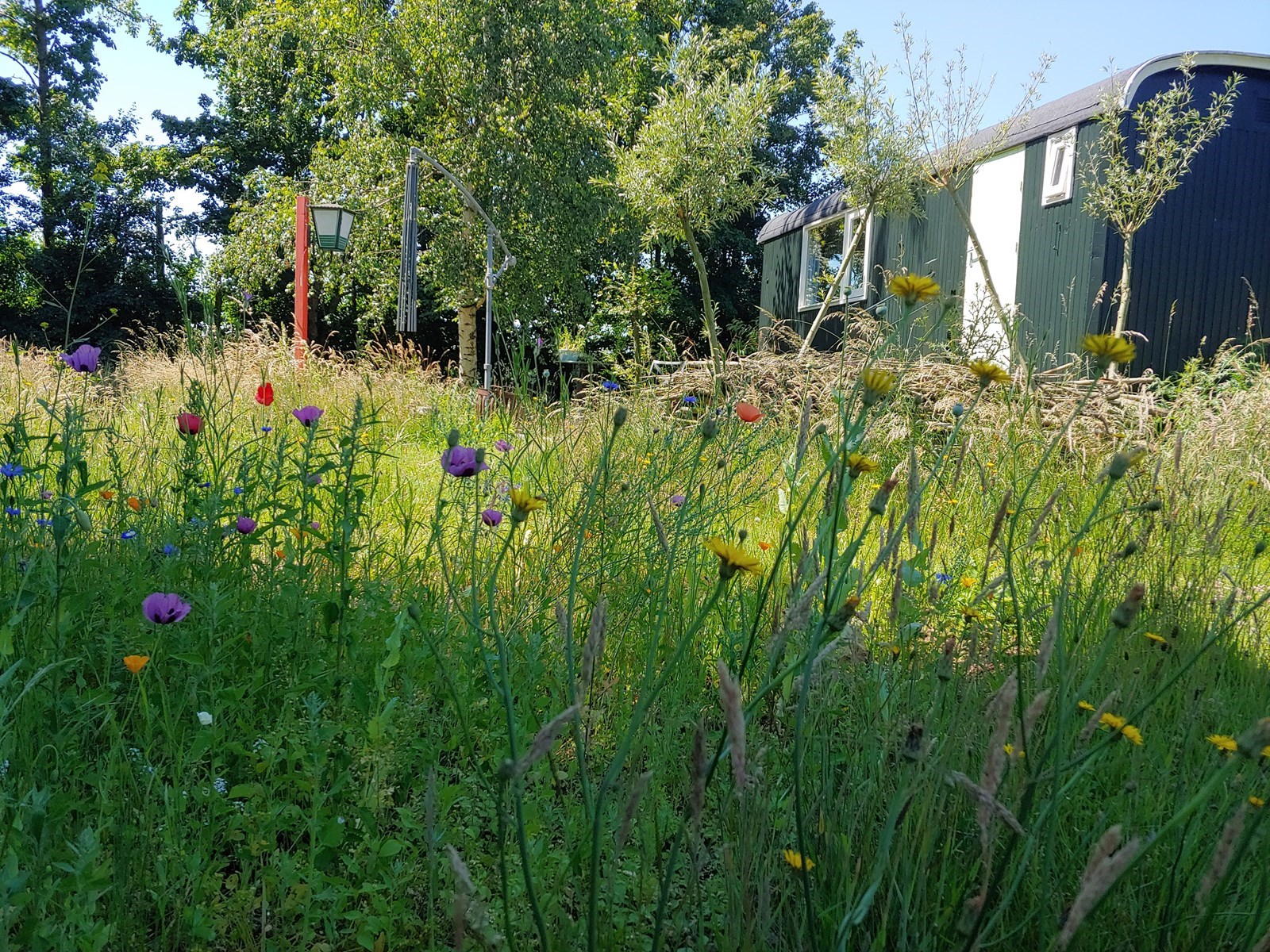 Pipowagen op een groen natuurkampeerterrein