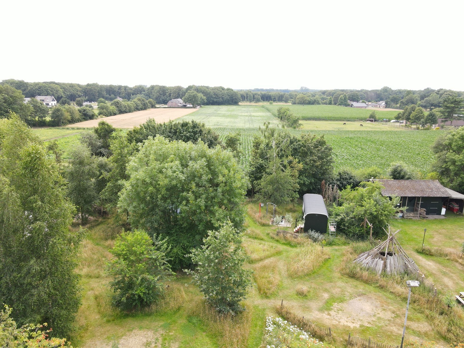 Pipowagen op een groen natuurkampeerterrein