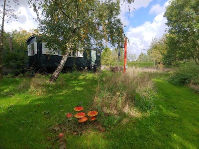 Pipowagen op een groen natuurkampeerterrein Pipowagen op een groen natuurkampeerterrein