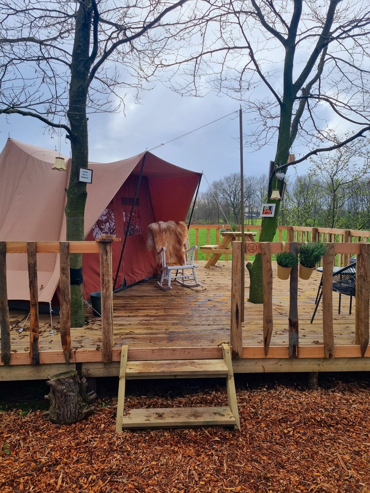 Kamperen in een retro-ingerichte Boomhut-tent (met bij de boeken hottub)