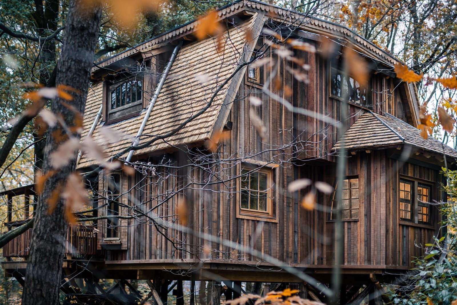 Stoere Boomhut voor 6 personen