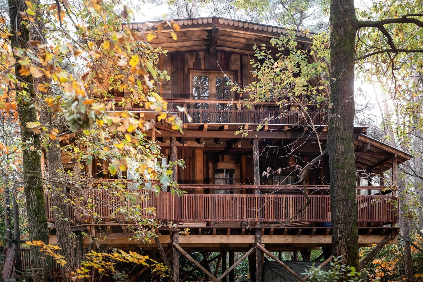 Stoere Boomhut voor 6 personen