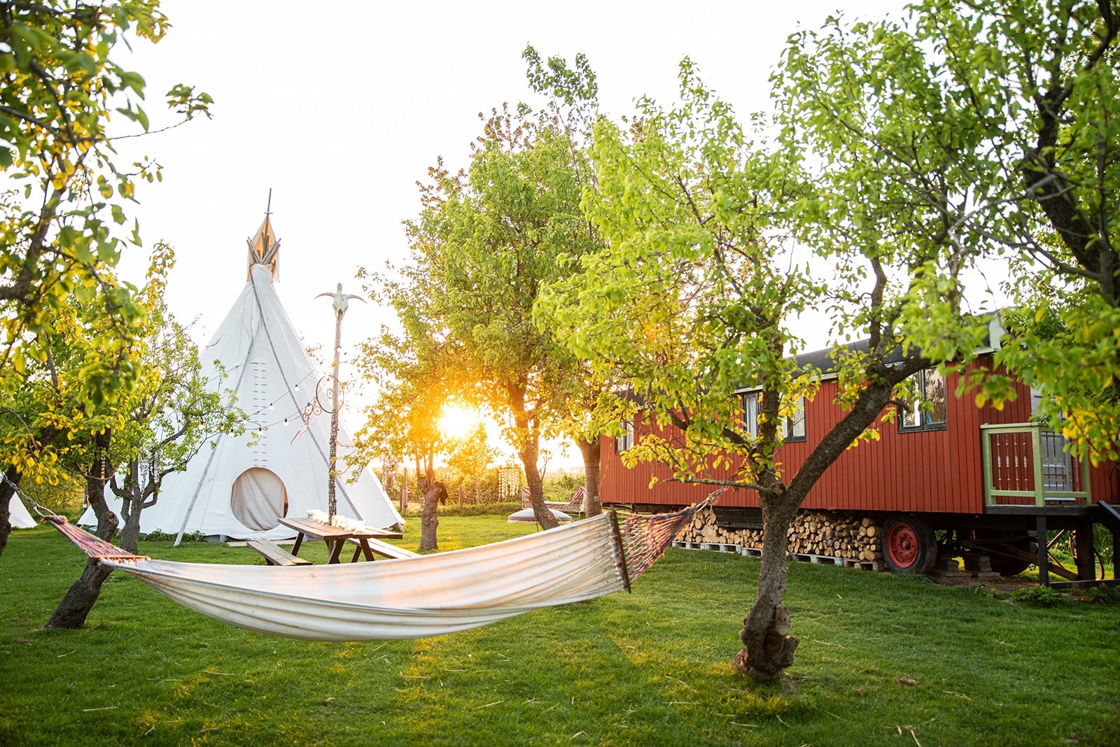Sfeervolle Pipowagen tussen de dieren