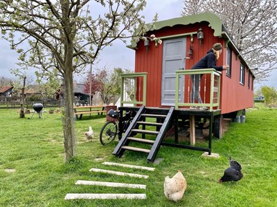 Sfeervolle Pipowagen tussen de dieren Sfeervolle Pipowagen tussen de dieren