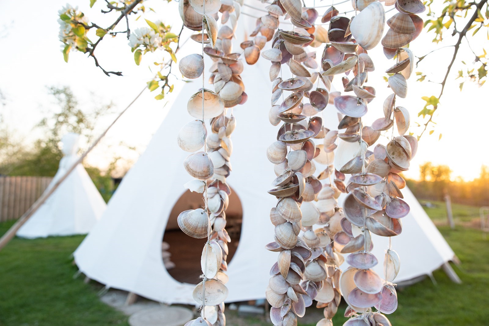 Slapen tussen de schapen in een Tipi tent