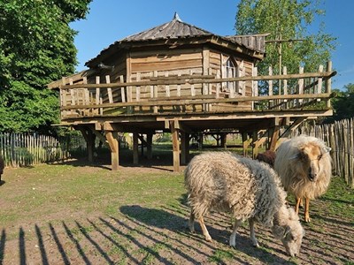 Slapen boven de schapen in een Schaapshut met hout (pellet) kachel Slapen boven de schapen in een Schaapshut met hout (pellet) kachel
