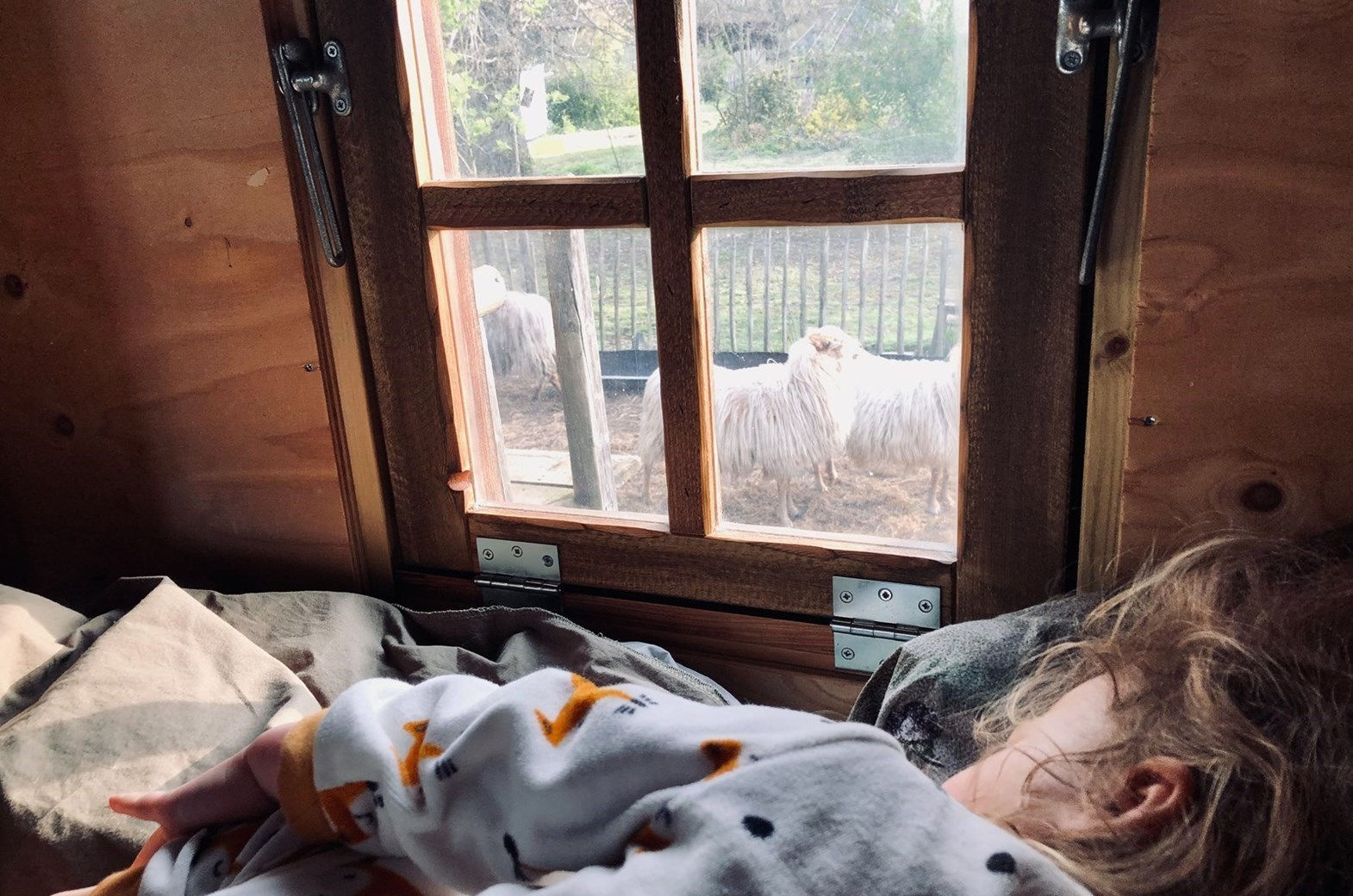 Slapen boven de schapen in een Schaapshut met hout (pellet) kachel