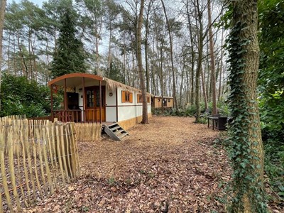 Pipowagen tussen de bomen op een ruim perceel vlakbij Maastricht Pipowagen tussen de bomen op een ruim perceel vlakbij Maastricht