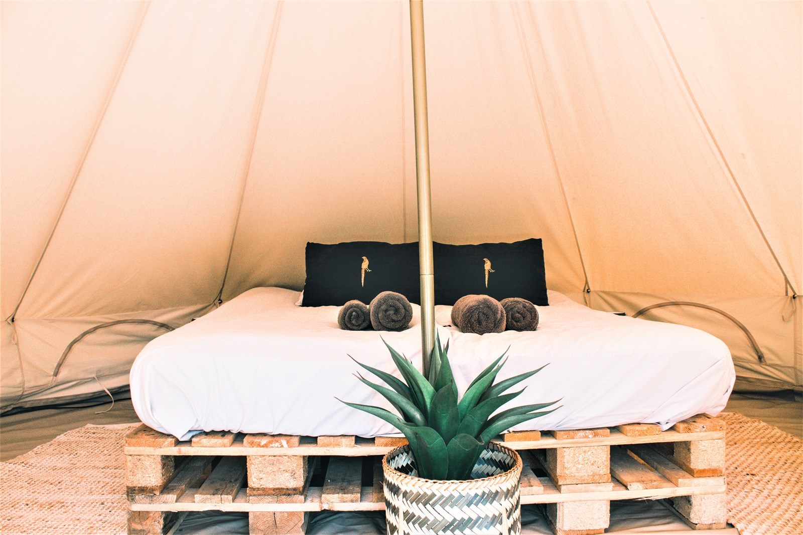 Bell tent op een mini-glamping met kampvuur en kippen