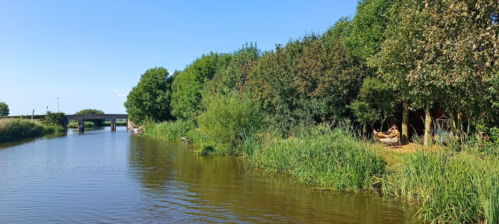 Dome met uitzicht over de weilanden en het water