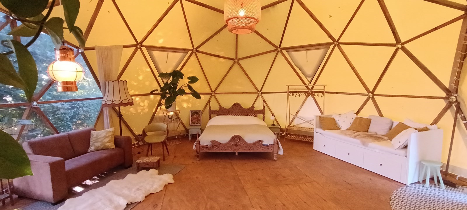 Dome met uitzicht over de weilanden en het water