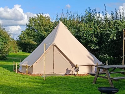 Bell tent op een kleinschalige camping in Friesland Bell tent op een kleinschalige camping in Friesland