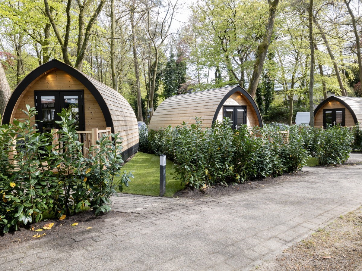 Boslodge middenin de betoverende Veluwse bossen