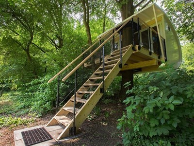Slapen tussen de bladeren in een boomhutsuite Slapen tussen de bladeren in een boomhutsuite