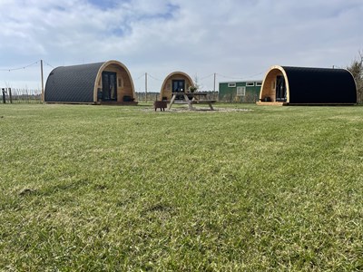 Knusse POD tegen de duinen en op 10 minuten van het strand Knusse POD tegen de duinen en op 10 minuten van het strand
