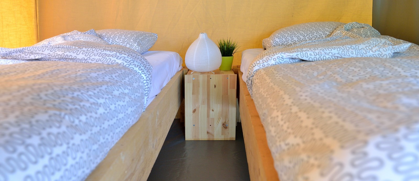 Safaritent aan de rand van Natuurgebied de Maashorst