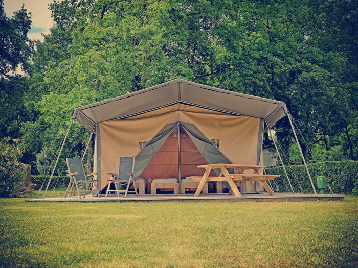 Safaritent aan de rand van Natuurgebied de Maashorst Safaritent aan de rand van Natuurgebied de Maashorst