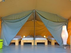 Safaritent aan de rand van Natuurgebied de Maashorst Safaritent aan de rand van Natuurgebied de Maashorst