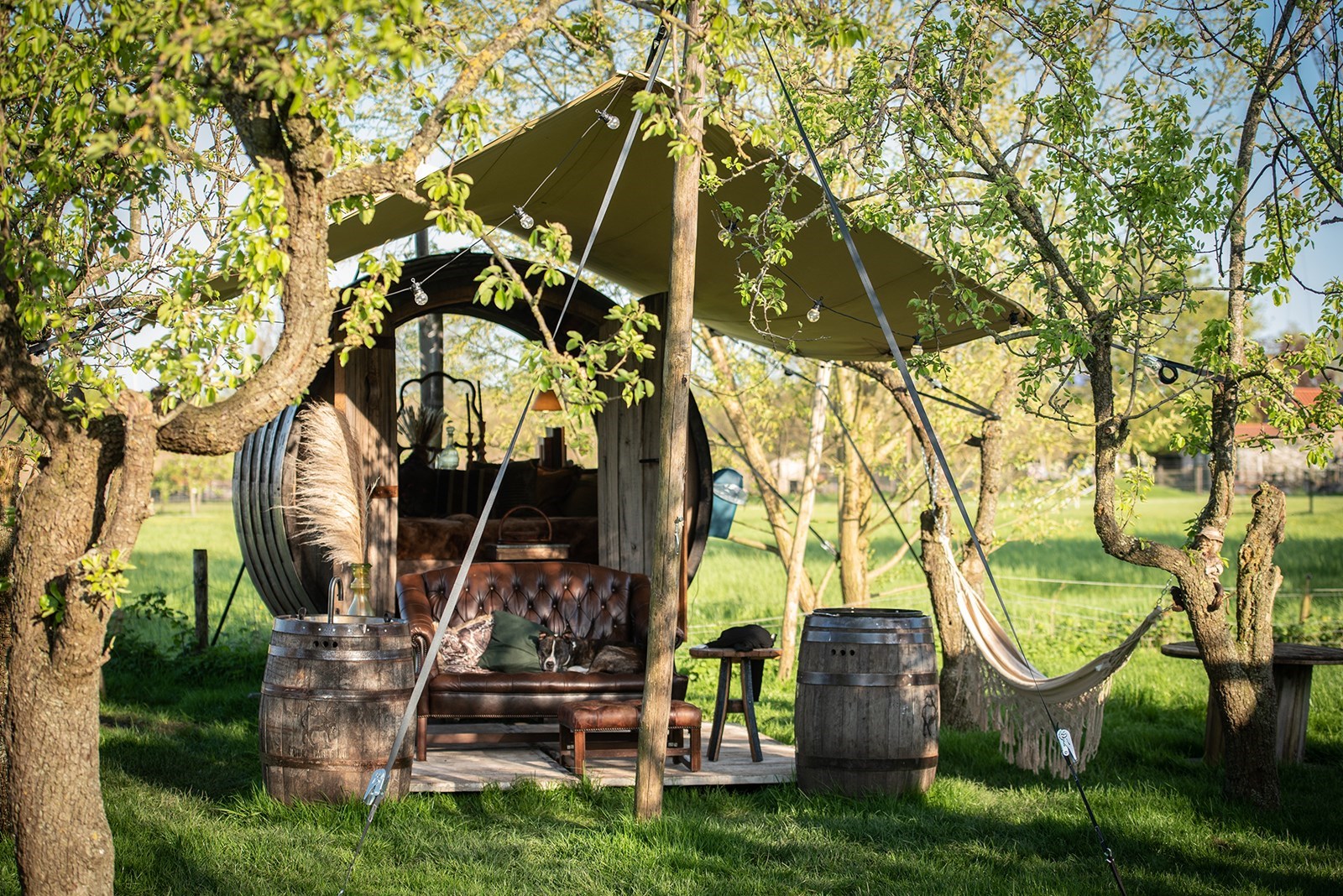 Origineel overnachten in een Wijnvat met prachtig panorama uitzicht