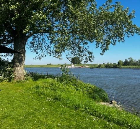 POD aan het water met een barbecue