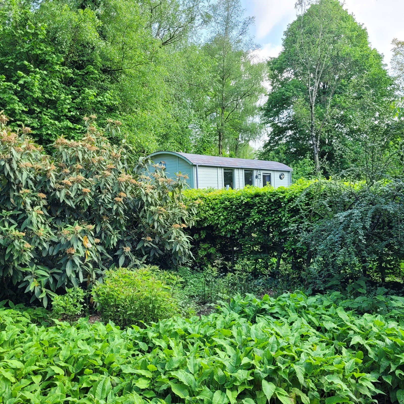 Sfeervolle shepherds hut met een buitenvuurplaats