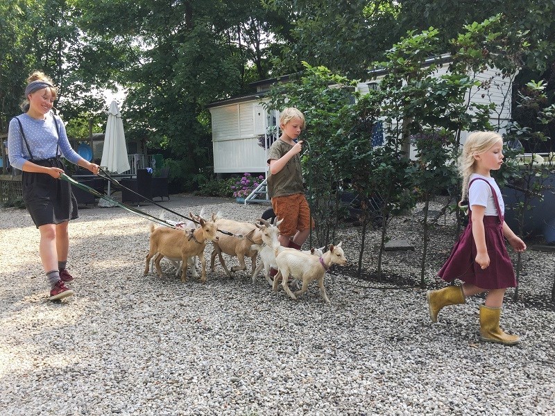 Superdeluxe Pipowagen met hottub, zwembad, airco & verwarming