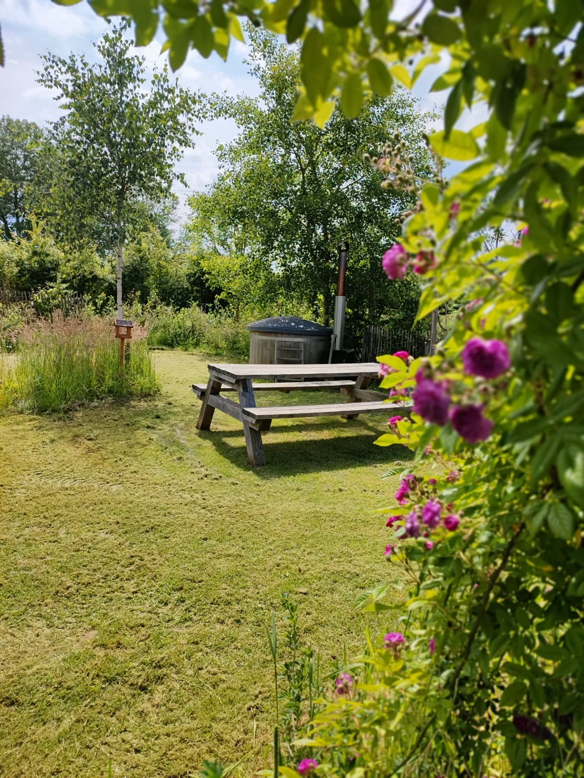 Duurzaam Tiny house met hottub