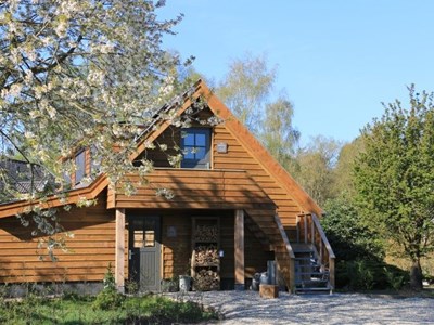 Een bijzondere B&B midden in het bos Een bijzondere B&B midden in het bos