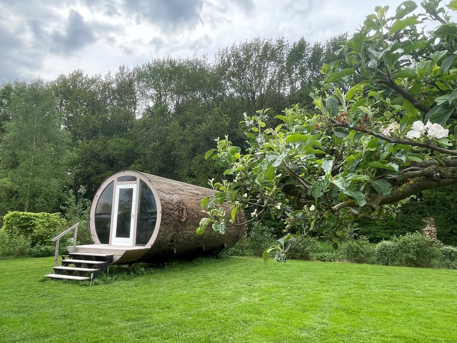Tiny house: een Boomstam