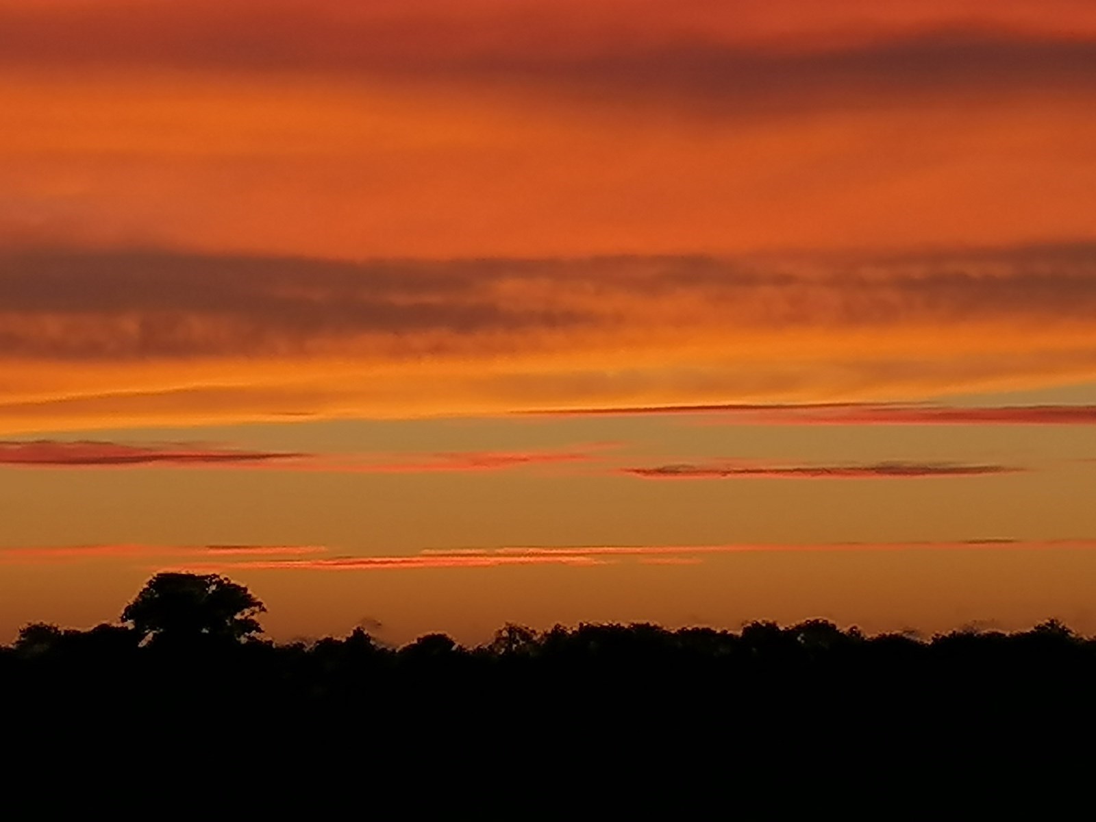 Overnachten in een handgemaakte Scandinavische houten Woonwagen