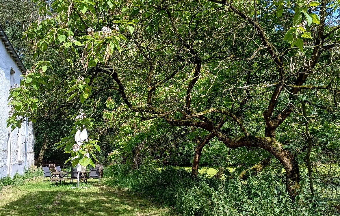 Vakantiewoning in een voormalig Koetshuis op een landgoed