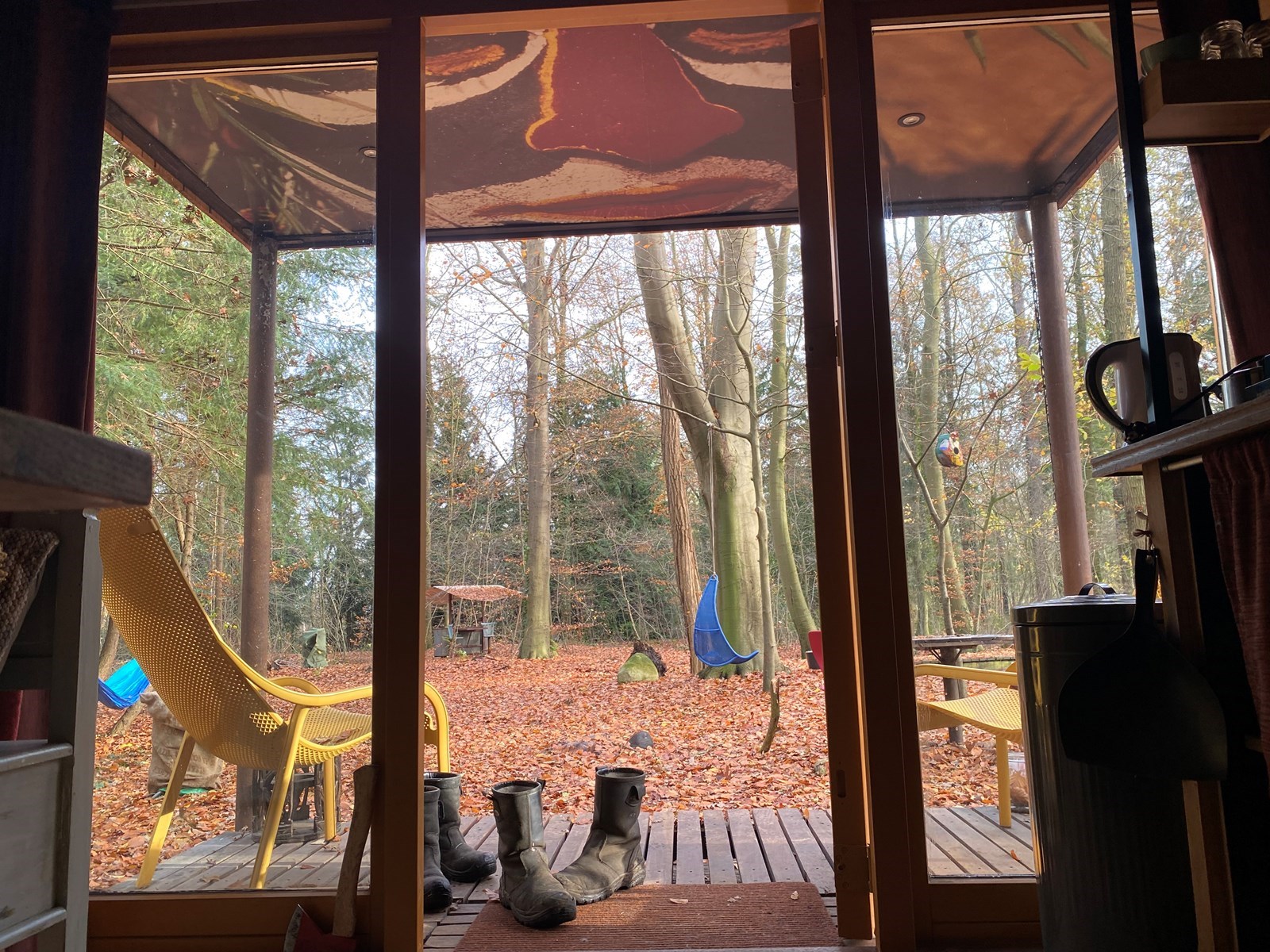 Natuurbeleven vanuit dit unieke Boshuisje