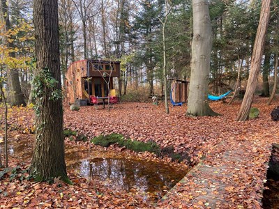 Natuurbeleven vanuit dit unieke Boshuisje Natuurbeleven vanuit dit unieke Boshuisje