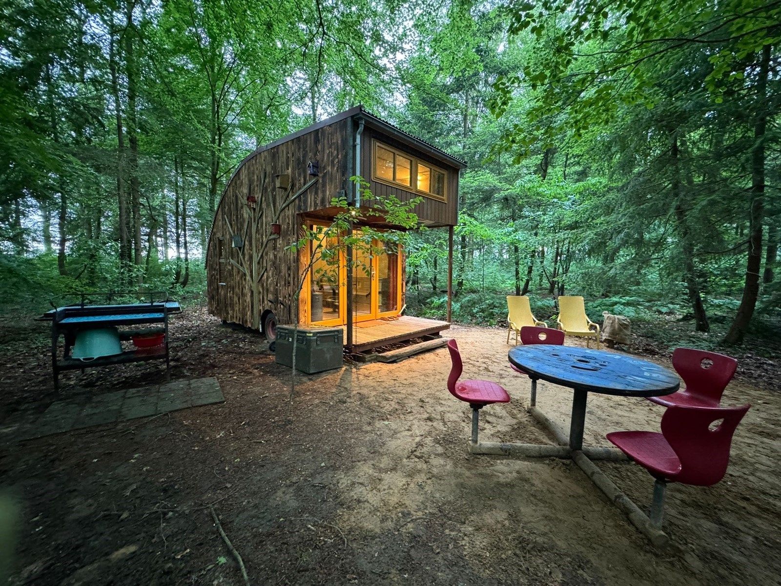 Natuurbeleven vanuit dit unieke Boshuisje