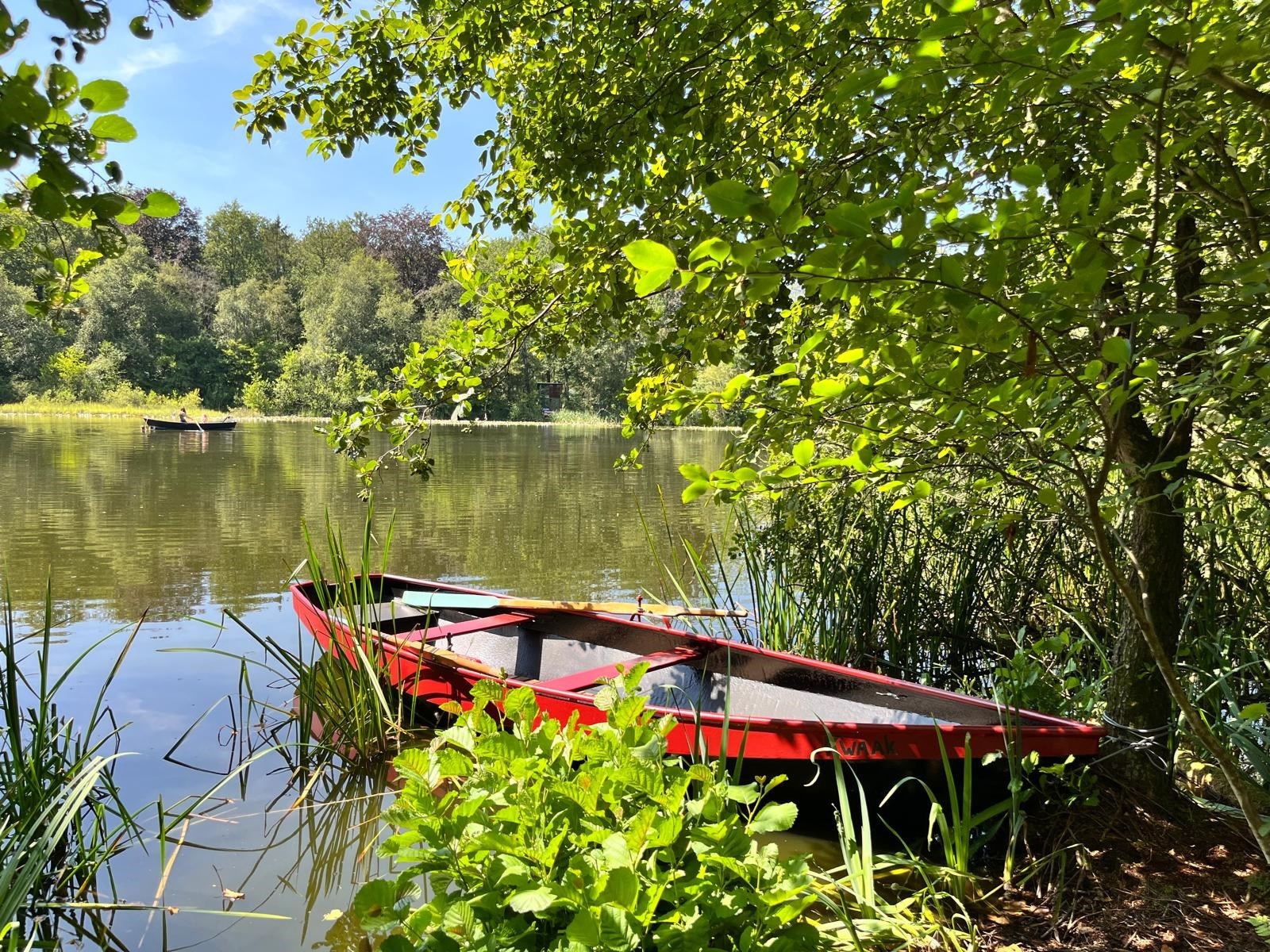 Wakker worden aan de rand van een meertje in een Natuurhut