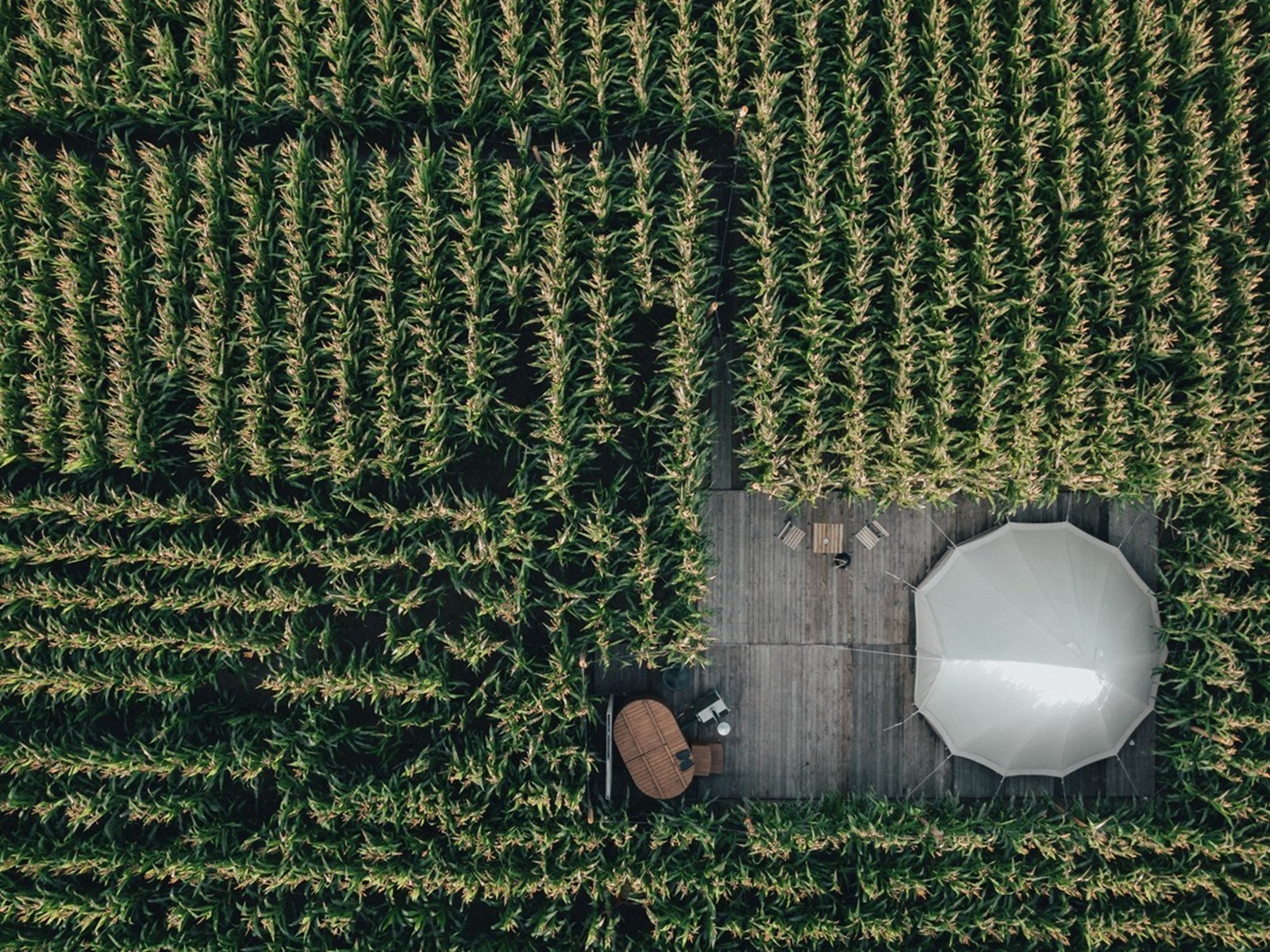 Glamping tussen de maïsvelden met privé hottub