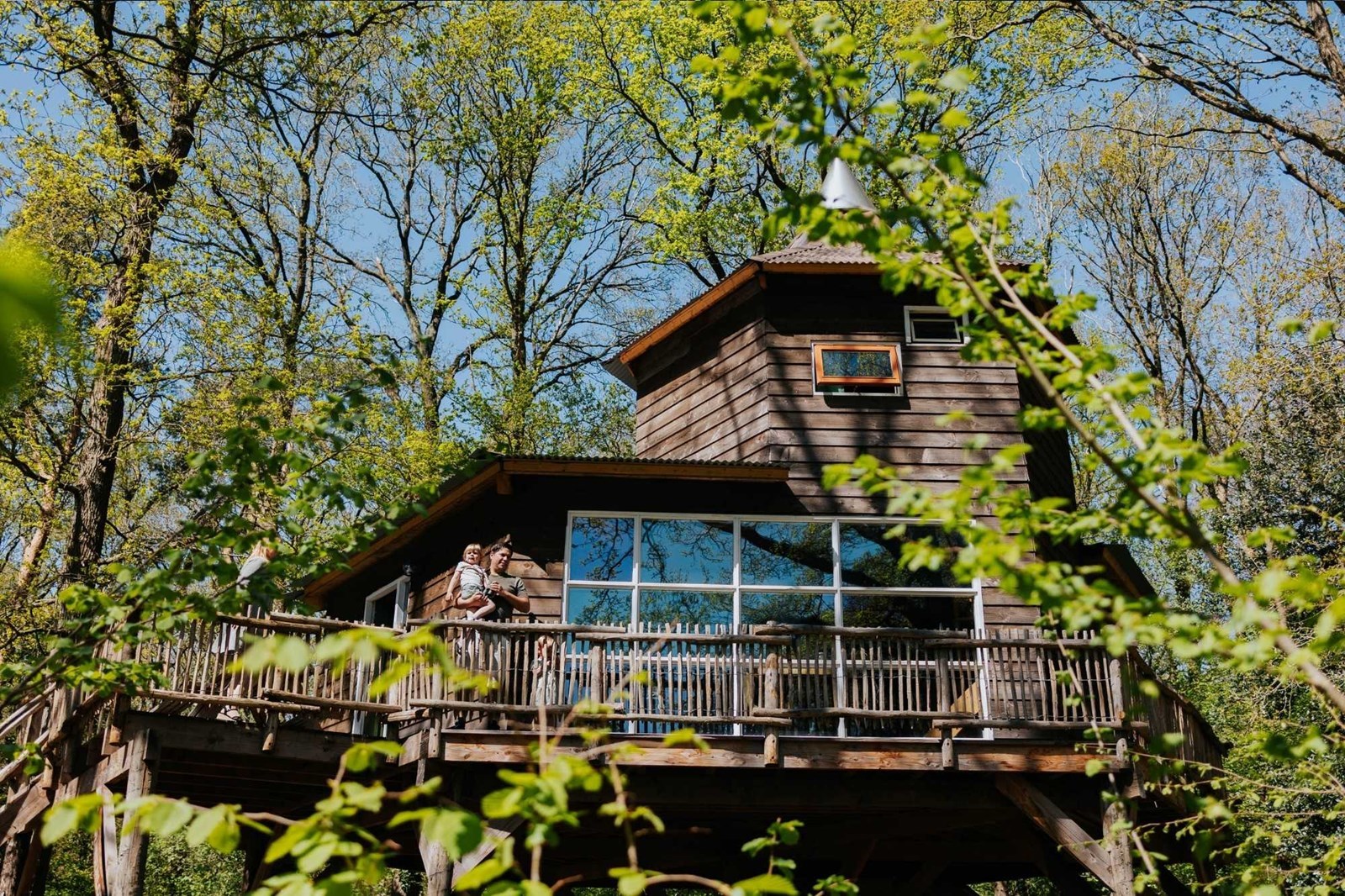 Overnachten tussen de boomtoppen met 10 personen in je eigen Boomhutdorp