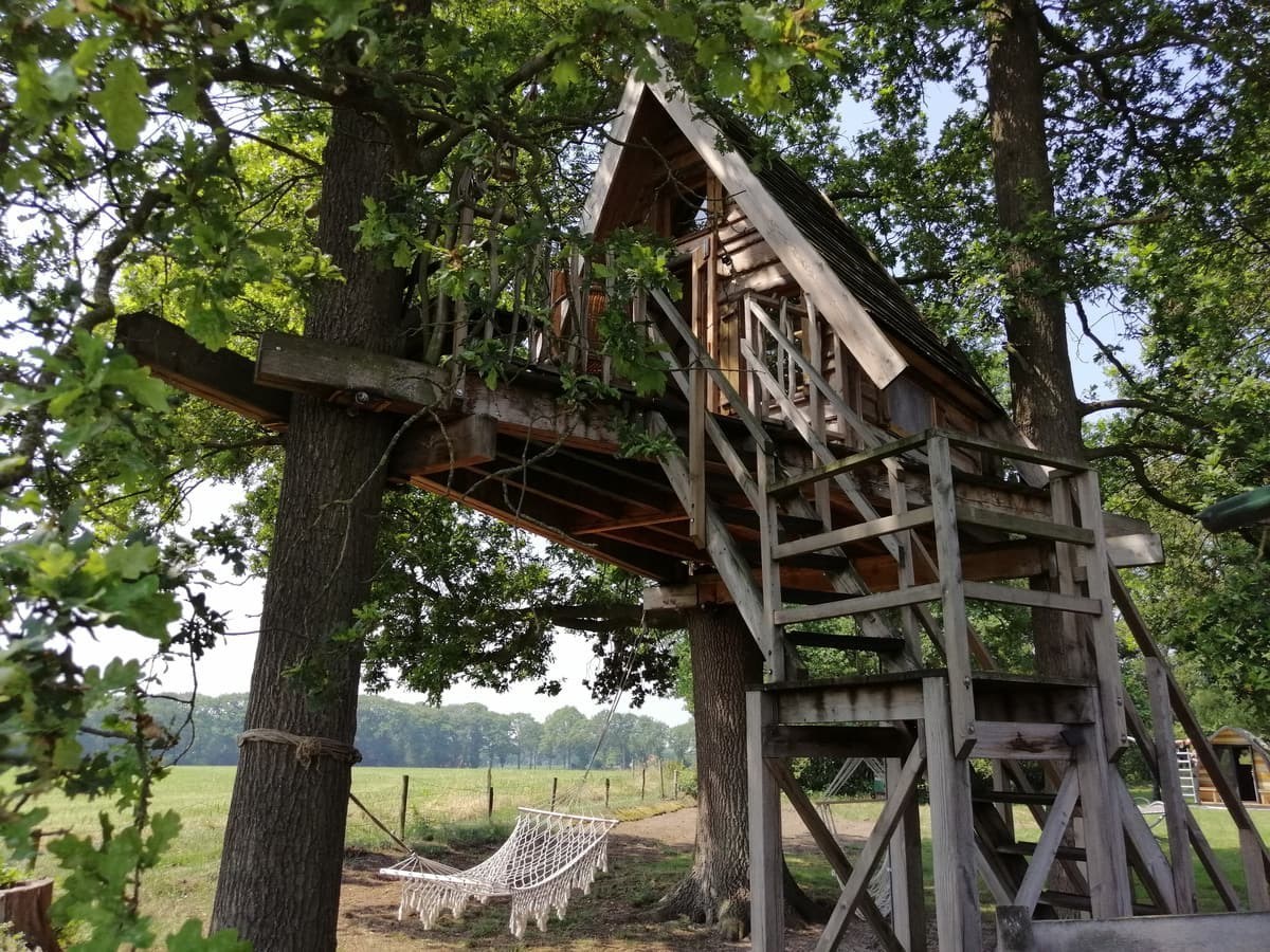 Origineel overnachten in een boomhut droomhut