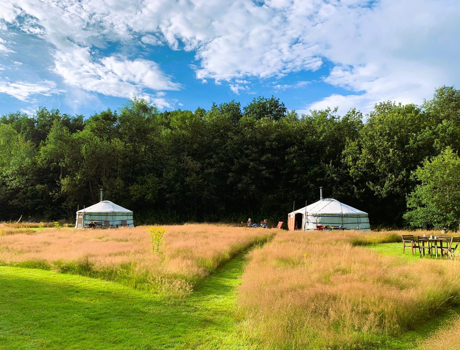 Magisch overnachten in een yurt op een fijne plek in de natuur