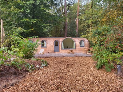 Bijzonder Iglu vakantiehuisje in het bos Bijzonder Iglu vakantiehuisje in het bos