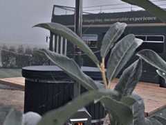 Slapen in een Engelse Dubbeldekkerbus en bubbelen in de hottub Slapen in een Engelse Dubbeldekkerbus en bubbelen in de hottub