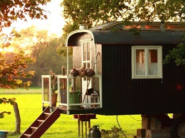 Luxe Pipowagen met privé-hottub Luxe Pipowagen met privé-hottub