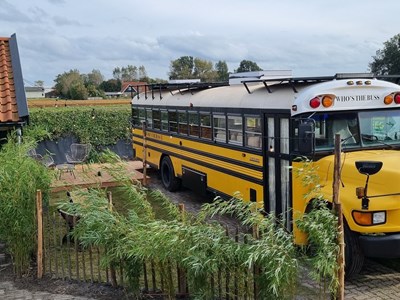 Origineel overnachten in een Amerikaanse schoolbus Origineel overnachten in een Amerikaanse schoolbus