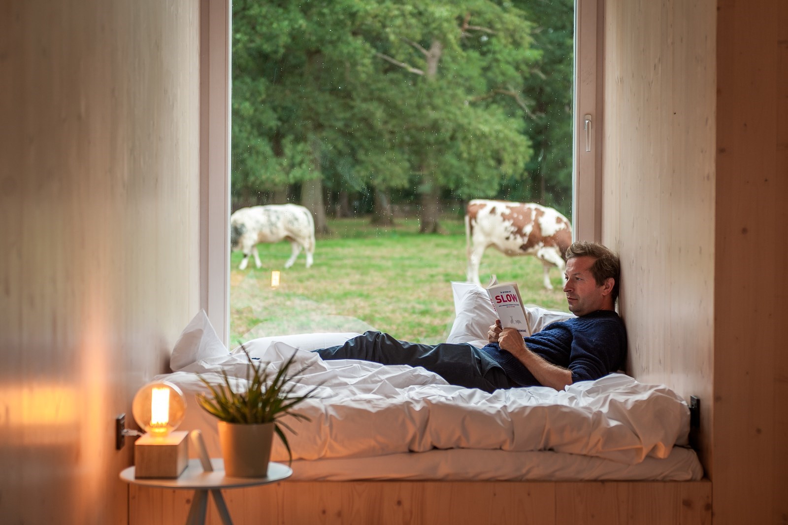 Origineel overnachten tussen de koeien in een off grid eco design cabin