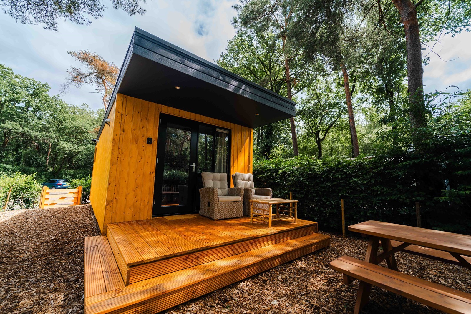 Tiny House met een sterrenplafond boven het bed