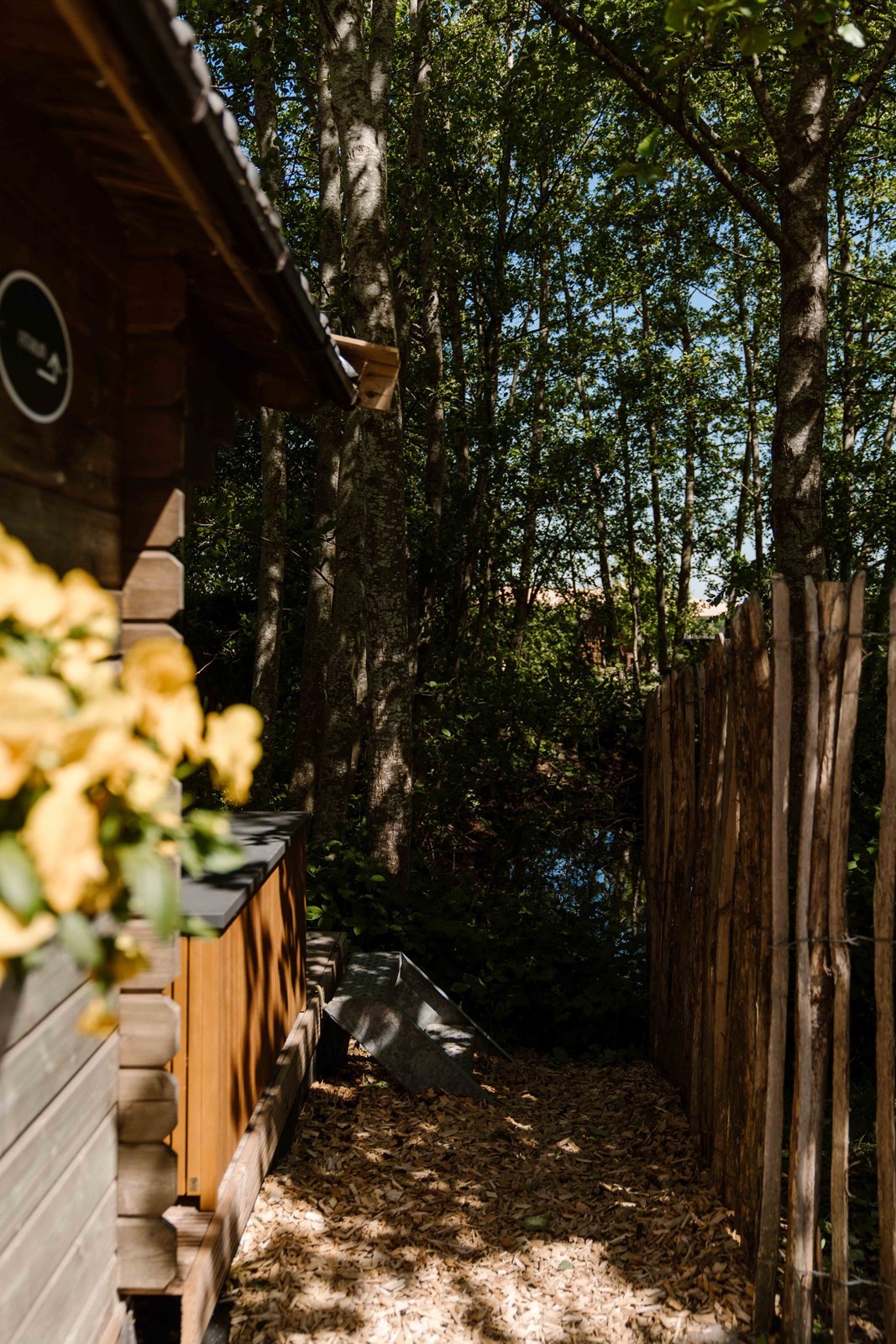 Slapen in een bijzondere houten cabin