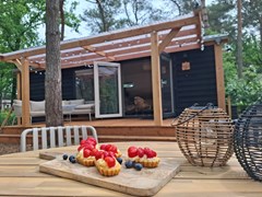 Sfeervol houten Tiny House in de Drentse natuur Sfeervol houten Tiny House in de Drentse natuur